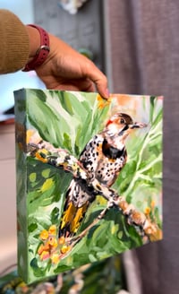 Image 3 of Spotted & Dotted – Northern Flicker painting