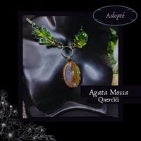 Image 1 of ☽ Quercus Mossa ☾