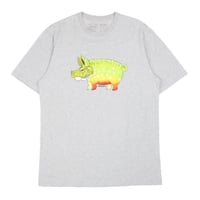 Image 1 of Vintage 00s Patagonia Trout Pig Tee - Grey