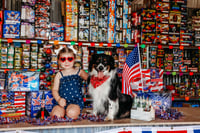Image 4 of July 4th Minis