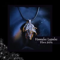 Image 1 of ☽ Humulus Flora ☾