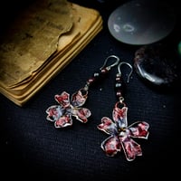 Image 5 of ☽ Primula Lava ☾