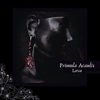 Image 1 of ☽ Primula Lava ☾