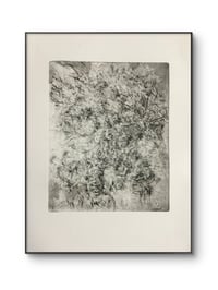 Untitled 2