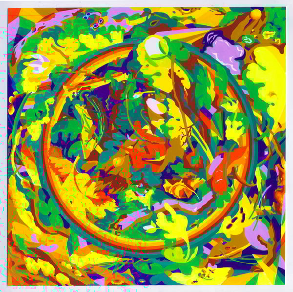 Image of Bloodroot (Forest Floor)