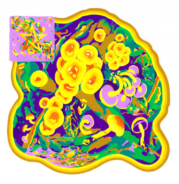 Image of Hypholoma (Forest Floor)