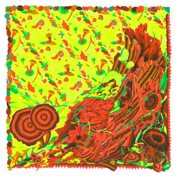 Image of Trumpets (Forest Floor)
