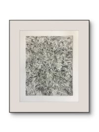 Untitled 5