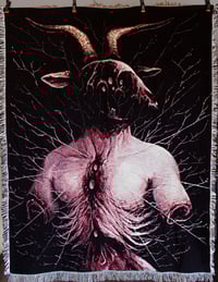 woven tapestry/blanket (50x 66 inches) ppaaiinn