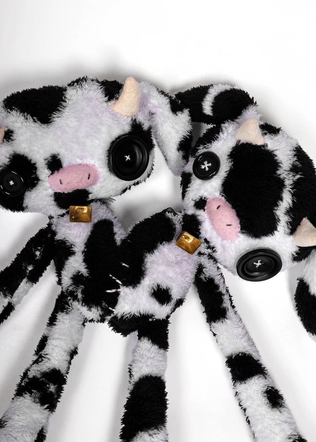 Conjoined baby cows