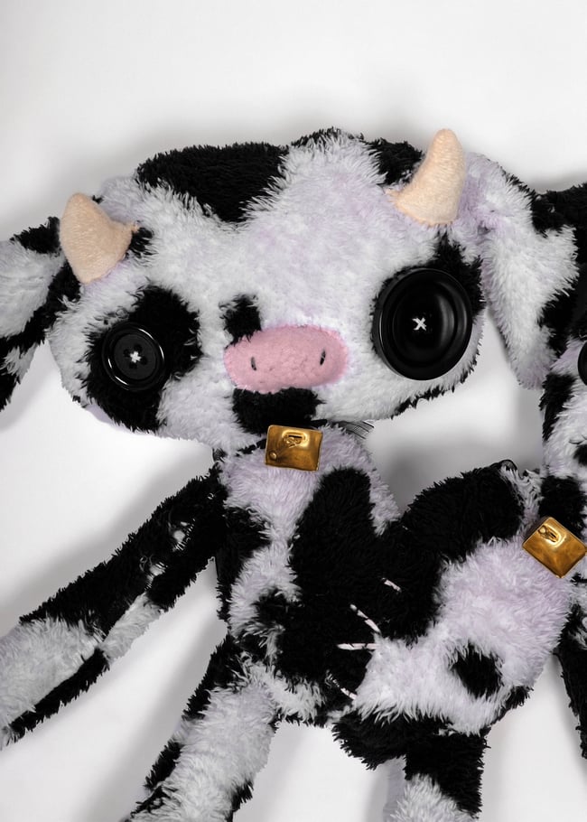 Conjoined baby cows