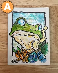 Image 2 of Helga Proof w/Drawing