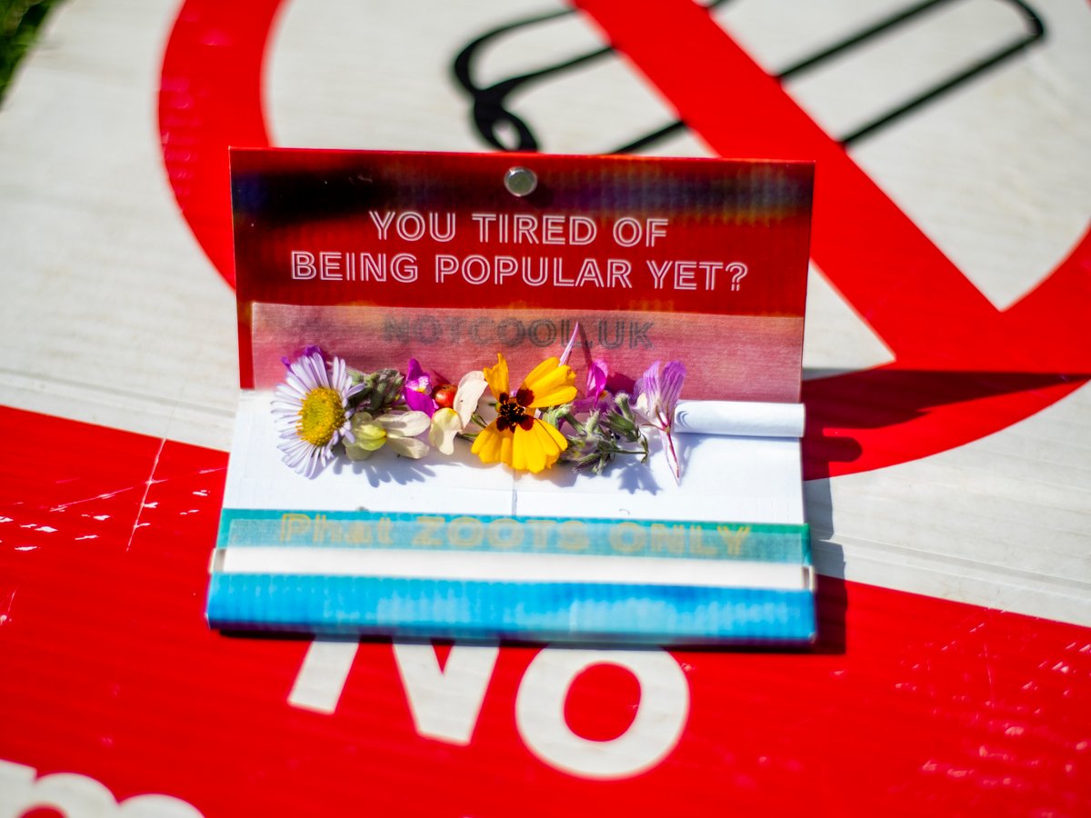 Image of Not Cool Kings