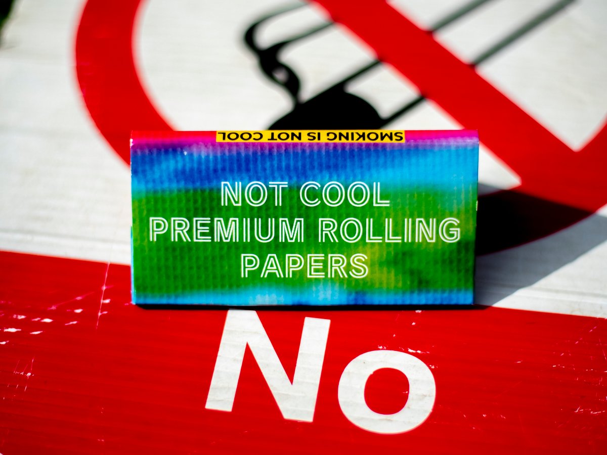 Image of Not Cool Kings