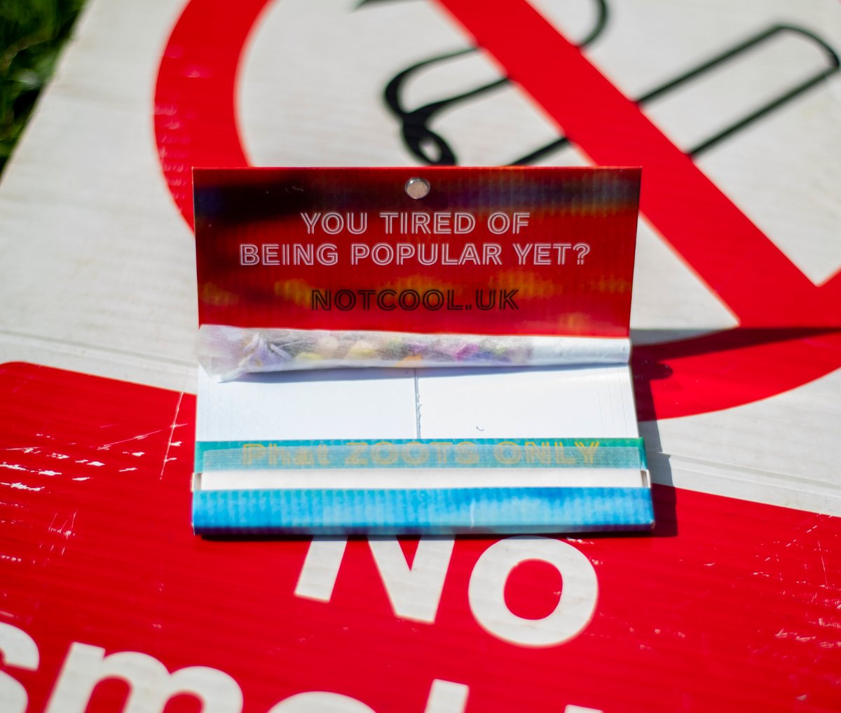 Image of Not Cool Kings