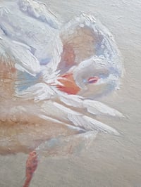 Image 2 of White geese