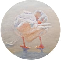 Image 4 of White geese