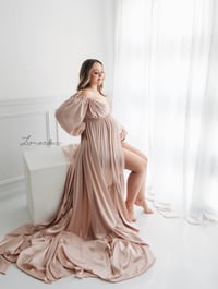 Image 2 of Albina Silk Gown