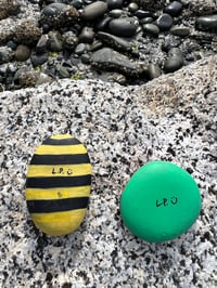 Image 3 of Buzz & Dot – Bee and Ladybug Duo Rock 🐝🐞