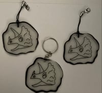 Triceratops fossils 