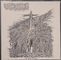 Image 1 of Vacuous - Dreams of Dysphoria - LP