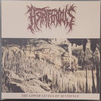 Image 1 of Astriferous - The Lower Levels of Sentience - LP