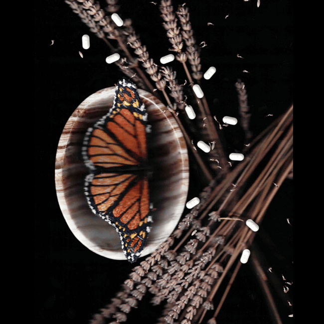 Sometimes I Pray // Meloxicam Sonnet | Art Prints