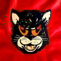 Image 1 of Black Cat - Canada Dry Soda Halloween mask (1950s) 