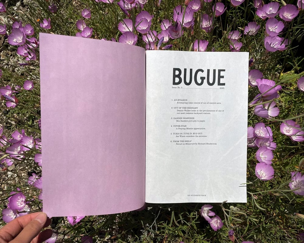 Image of BUGUE - Issue No. 3