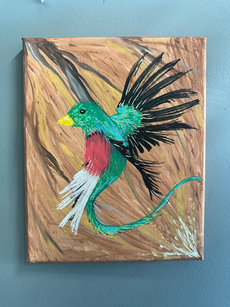 Image of “Quetzal Bird” by mimekone