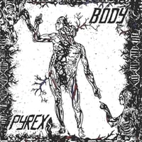PYREX-BODY LP
