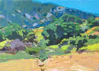 Early afternoon at Big Bend, Laguna Canyon