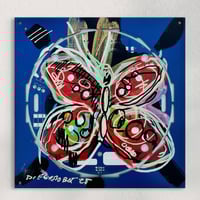 Image 1 of “CTRL + Metamorphosis”