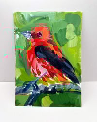 Image 3 of Scarlet Tanager Study on paper