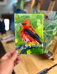 Image 1 of Scarlet Tanager Study on paper