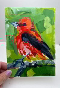 Image 2 of Scarlet Tanager Study on paper