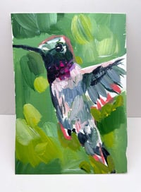 Image 2 of Black-chinned Hummingbird Study on paper