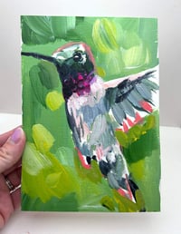 Image 3 of Black-chinned Hummingbird Study on paper