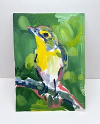 Image 2 of Yellow-throated Vireo study on paper