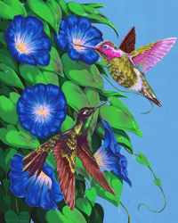Image 2 of Hummingbirds with Morning Glories 8X10 Print