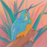 Image 2 of Common Kingfisher 6X6 Print