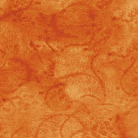 Image 7 of HOME TWEET HOME Panel Quilt Kit 63" x 63" by Tara Reed for Riley Blake Designs
