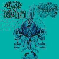 Hated Princples/Speculum Split Cassette