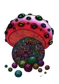 Image 1 of 'Abundance Mushroom' Limited Edition Print