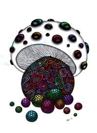 Image 1 of 'Abundance Mushroom II' Limited Edition Print