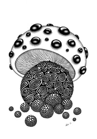 Image 1 of 'Abundance Mushroom B&W' Limited Edition Print 