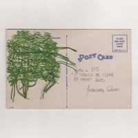 Image 2 of IT SHOULD BE CLEAR BY NOW