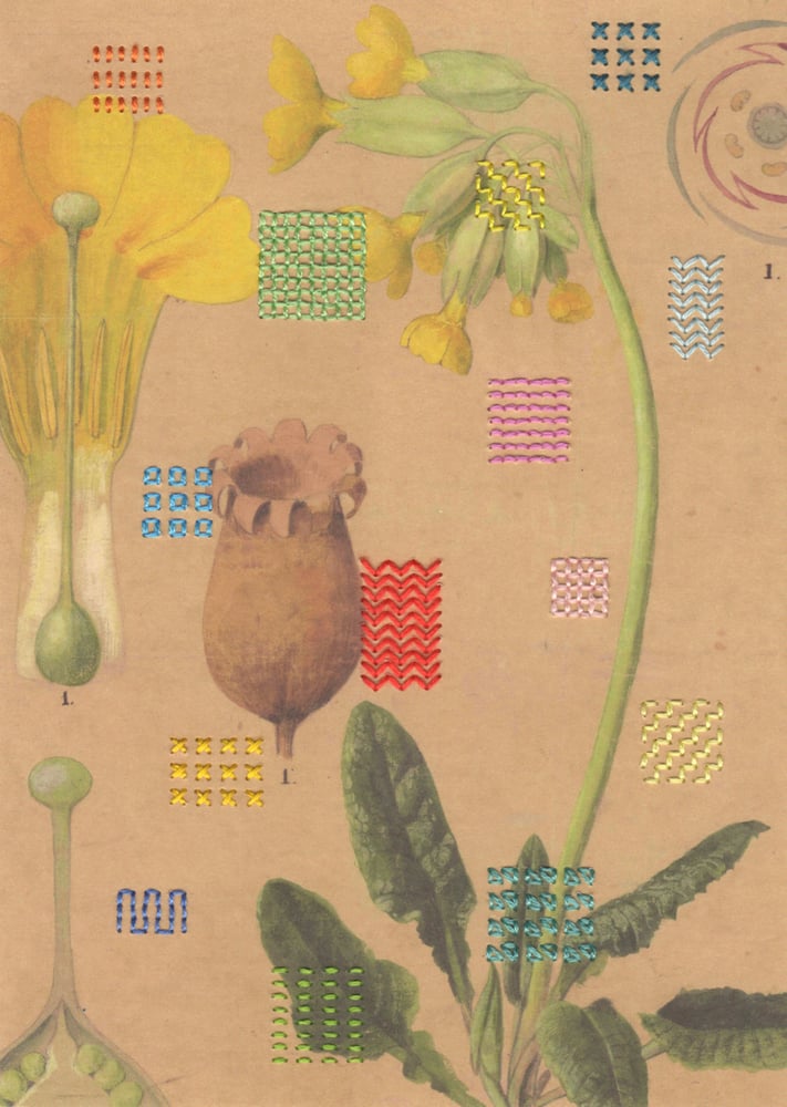 Image of BOTANICALS AND OTHER FLOWERS