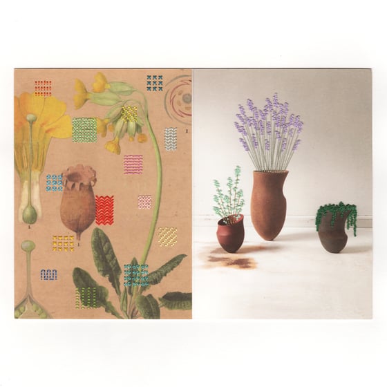 Image of BOTANICALS AND OTHER FLOWERS