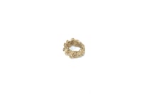 Image 2 of AMBRILINCO CRESTATO_Crocodile Jaws
